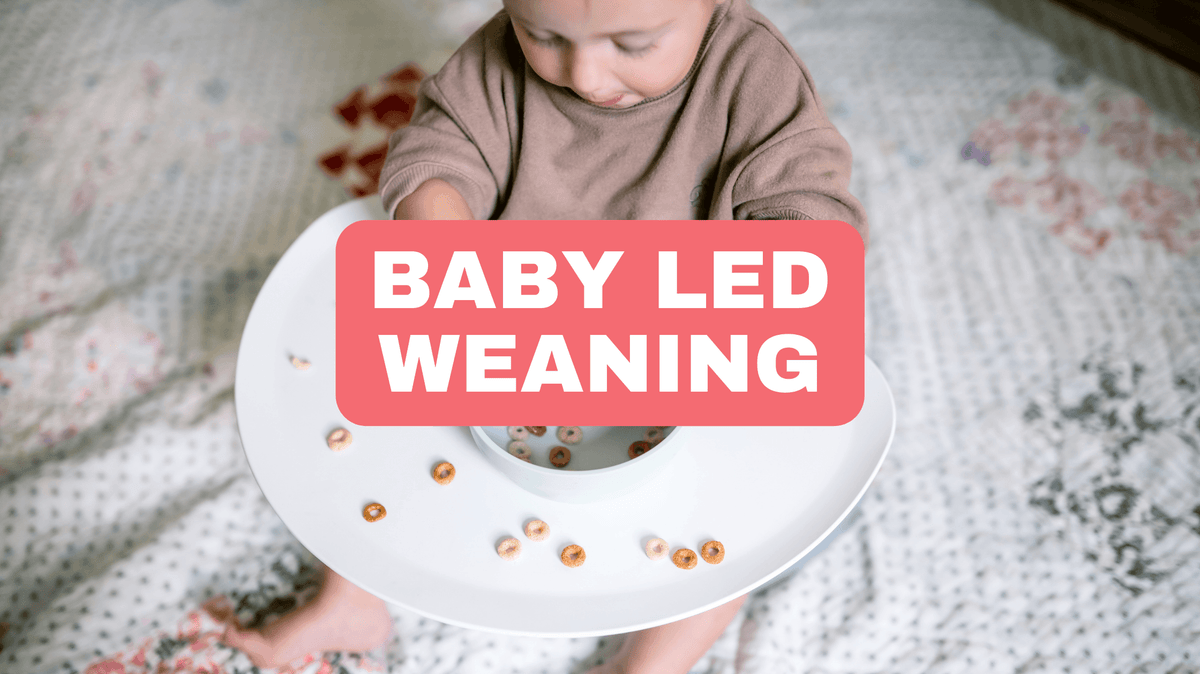 Using the Upseat for Baby-Led Weaning - Upseat