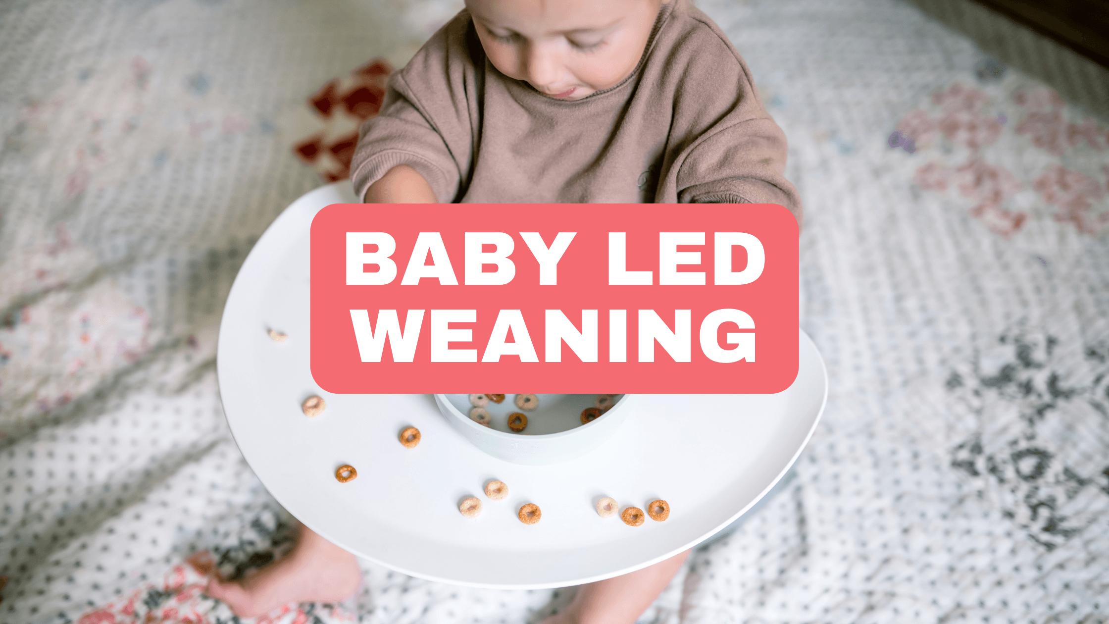 Using the Upseat for Baby-Led Weaning - Upseat