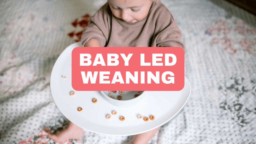 Using the Upseat for Baby-Led Weaning - Upseat