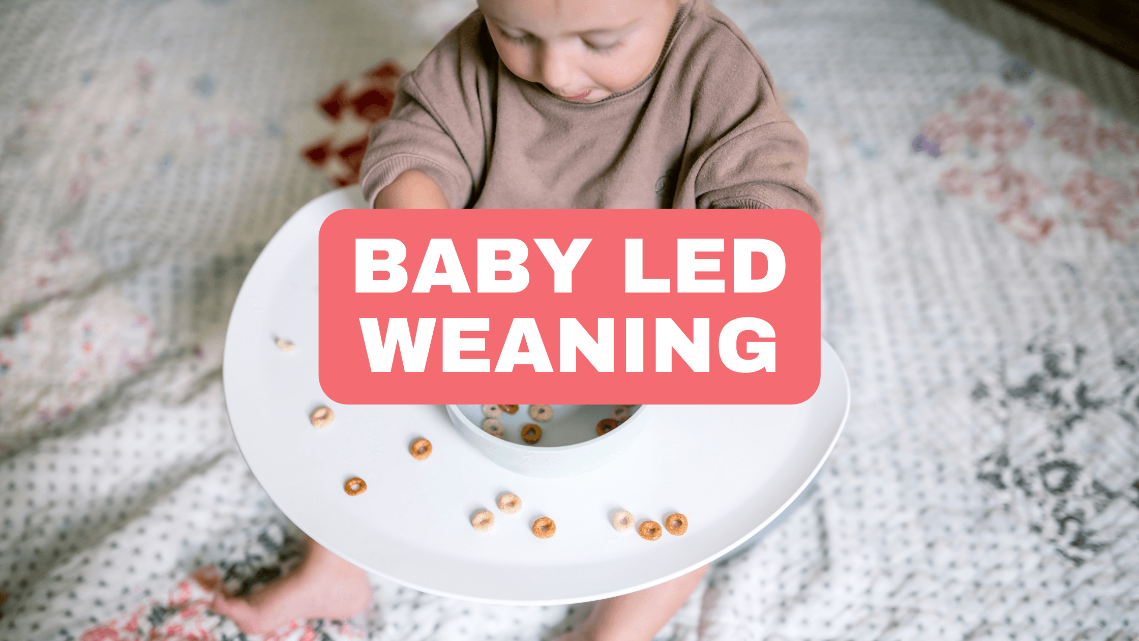 Best products for baby led weaning to start solids in 2023